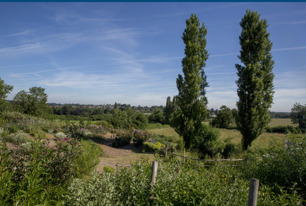 Surrounding greenery of Brackenhurst Campus